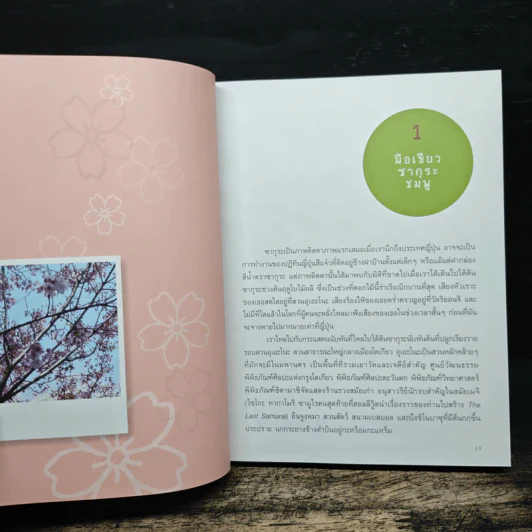 Japan Journal Journey เจแปน เจอนั่น เจอนี่ - สาลินี รูปที่ 8