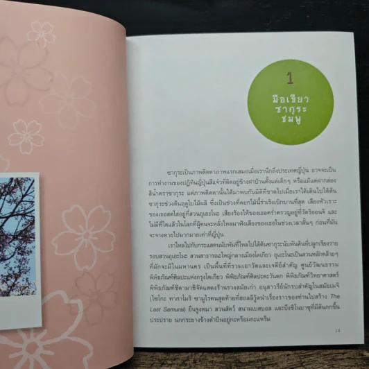 Japan Journal Journey เจแปน เจอนั่น เจอนี่ - สาลินี รูปที่ 8