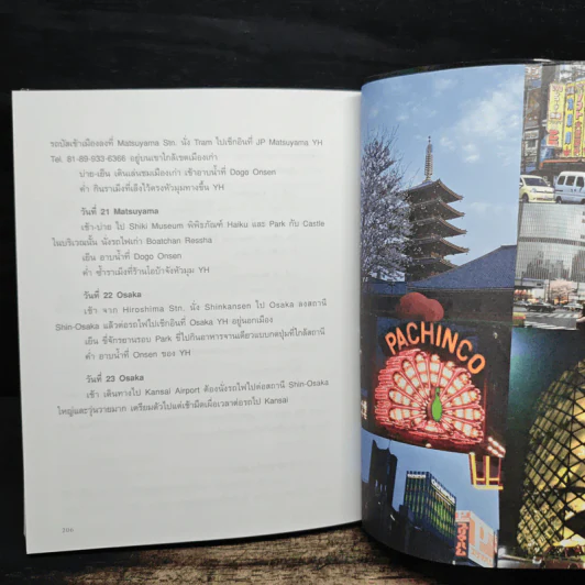 Japan Journal Journey เจแปน เจอนั่น เจอนี่ - สาลินี รูปที่ 9