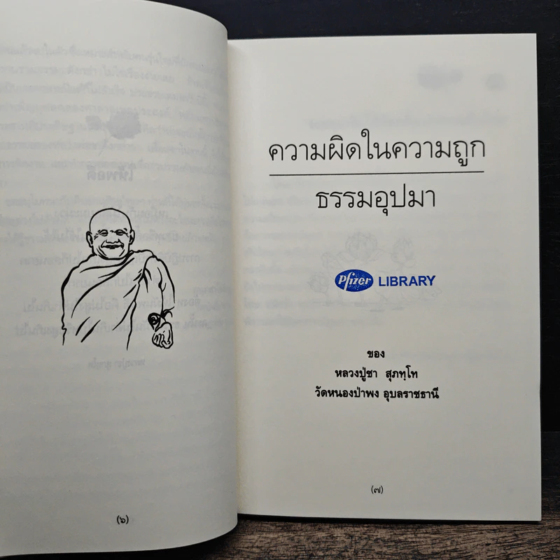 ความผิดในความถูก - พระโพธิญาณเถร รูปที่ 8