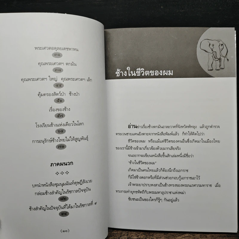 ช้างในชีวิตของผม - ม.ร.ว.คึกฤทธิ์ ปราโมช รูปที่ 8
