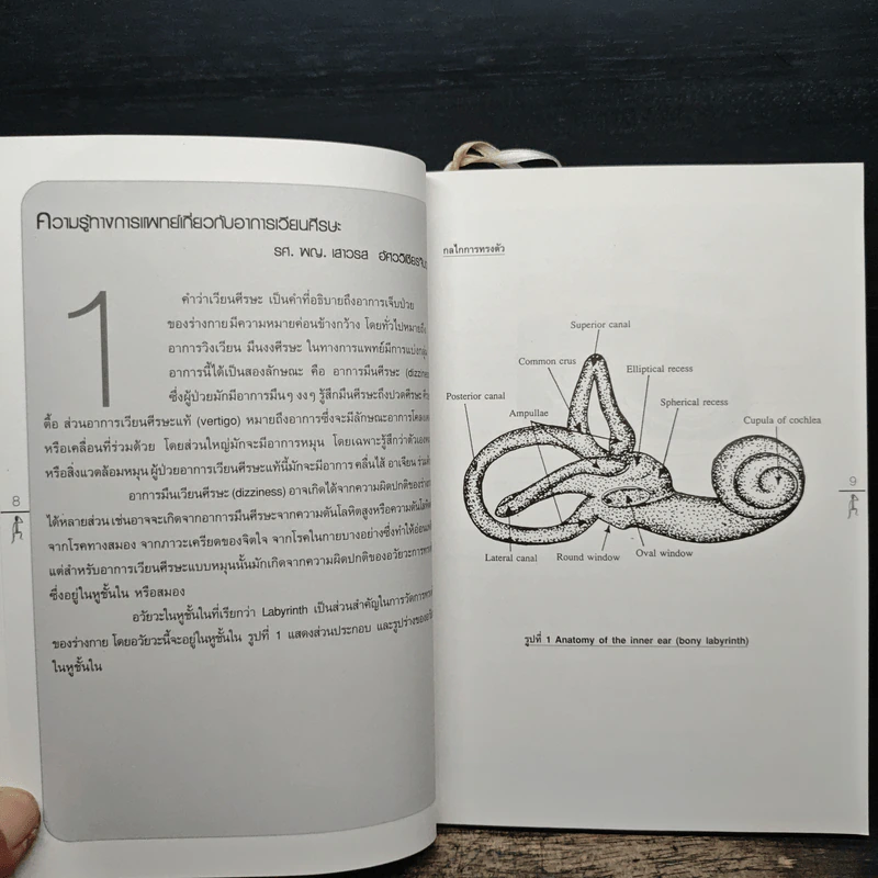 รู้ทันยา รักษาทันโรค รูปที่ 8