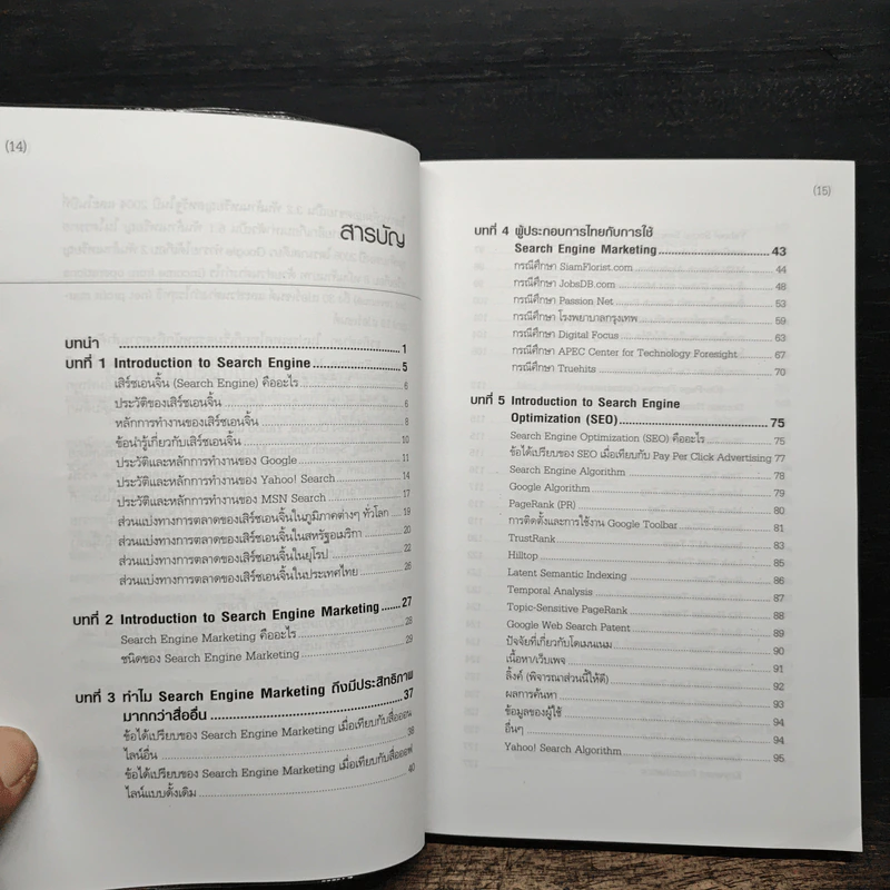 Search Engine Marketing 2.0 รูปที่ 7