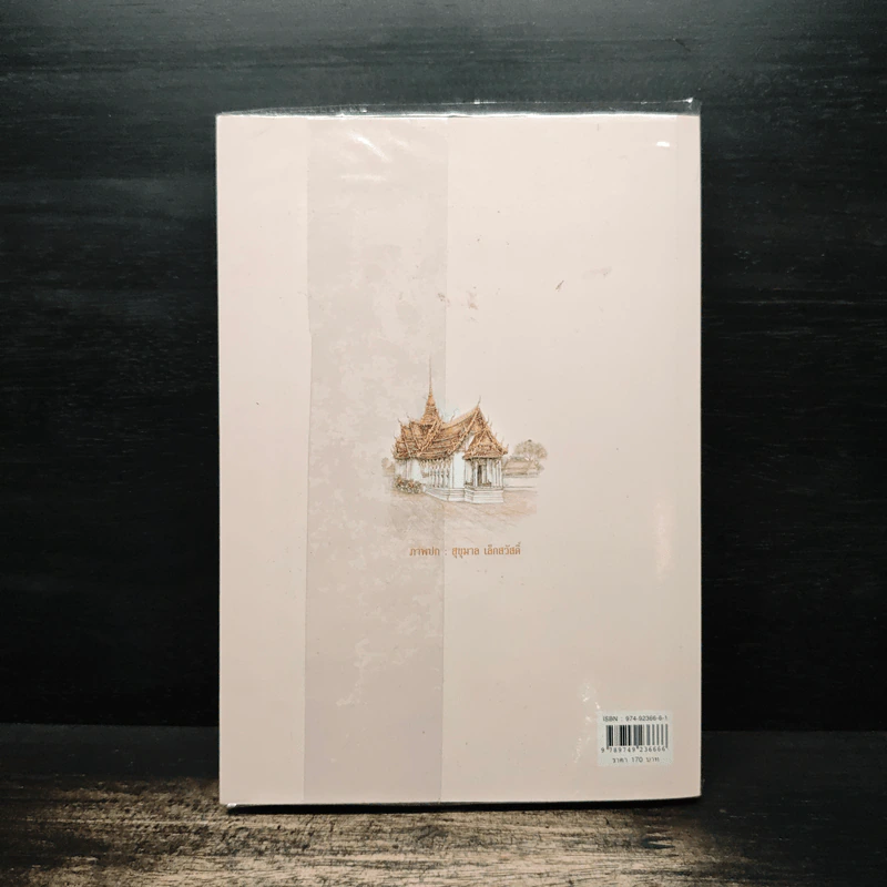 บารมีพระแม่ป้อง ปกพื้นธรณิน - แก้วเก้า รูปที่ 2