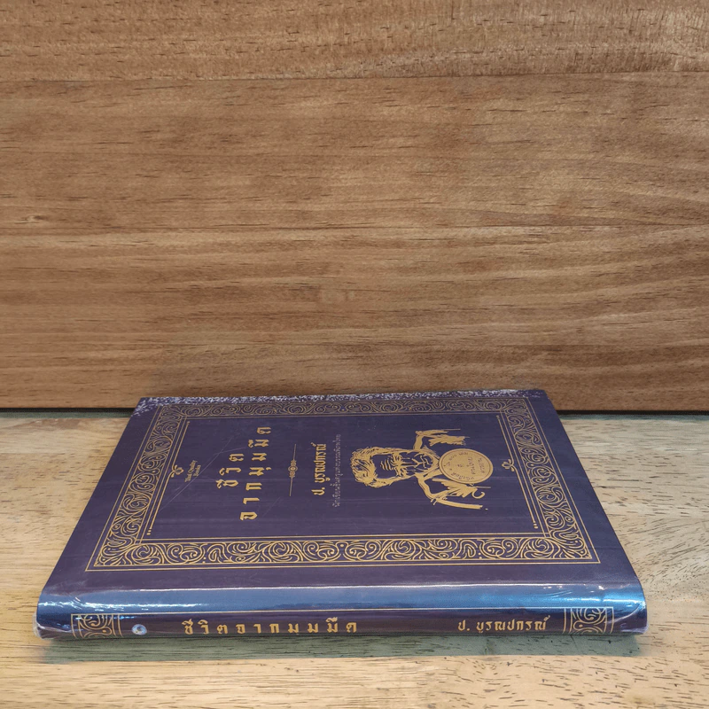 ชีวิตจากมุมมืด - ป.บูรณปกรณ์ รูปที่ 2