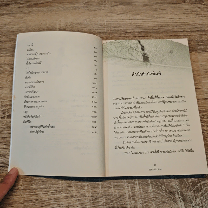 รอยเท้าในสวน - โมน สวัสดิ์ศรี รูปที่ 7