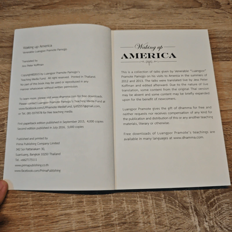 Waking Up America - Jess Peter Koffman รูปที่ 6
