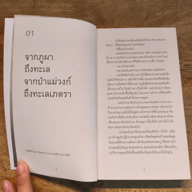 ระหว่างทางจากป่าสู่เมือง - ศศิน เฉลิมลาภ รูปที่ 6