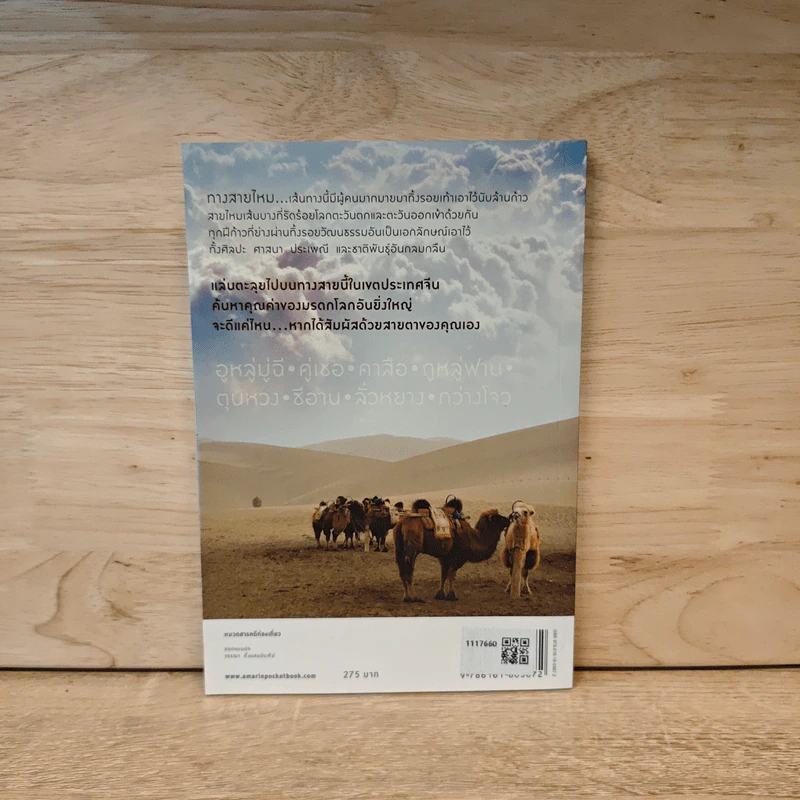 The Silk Road ตะลุยเส้นทางสายไหม - วีระศักดิ์ เทียนธนะวัฒน์ รูปที่ 5