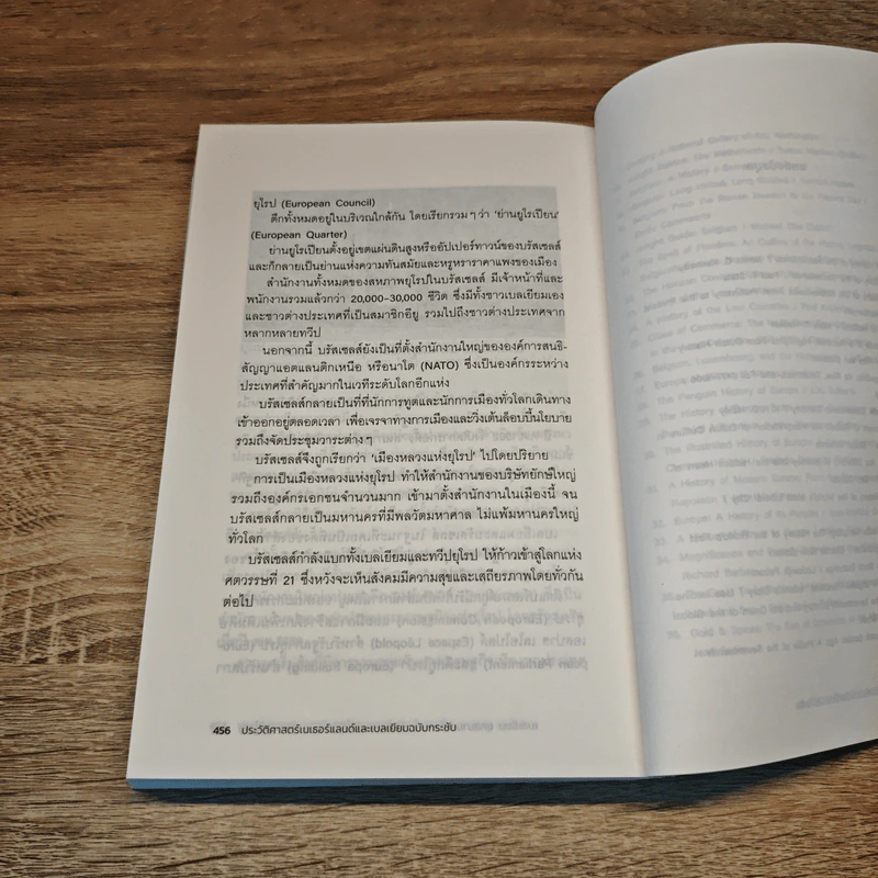 ประวัติศาสตร์เนเธอร์แลนด์และเบลเยียม ฉบับกระชับ รูปที่ 10