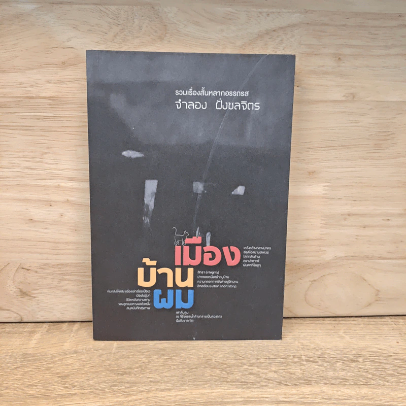 เมืองบ้านผม - จำลอง ฝั่งชลจิตร รูปที่ 1