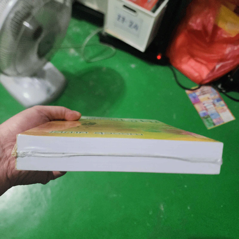 ความลับบนแหลมไซไน - โสภาค สุวรรณ รูปที่ 11