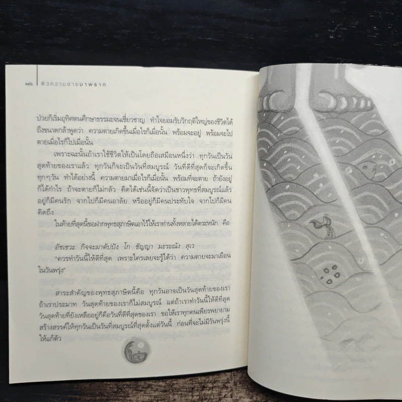สบตากับความตาย - ว.วชิรเมธี รูปที่ 9