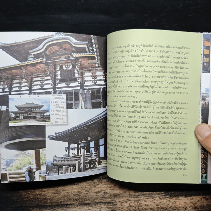Japan Journal Journey เจแปน เจอนั่น เจอนี่ - สาลินี รูปที่ 9