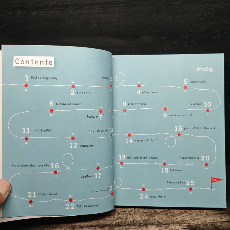 Japan Journal Journey เจแปน เจอนั่น เจอนี่ - สาลินี รูปที่ 7