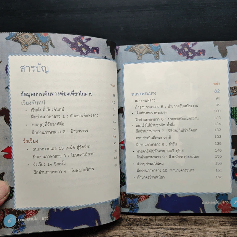 ม่วนหลายไป...ลาว - เอกปวีณ รูปที่ 7