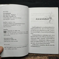 แม่วาดเมียบียอร์น ตอน Amazing Thailand - จันทร์ ศรีจรูญ แอนเดอร์สัน รูปที่ 6