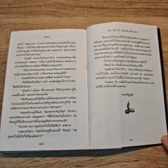 แม่โขง - ปองพล อดิเรกสาร รูปที่ 8