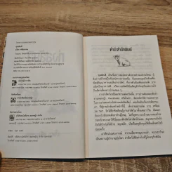 ทุ่งสลับสี - อโศก ศรีสุวรรณ รูปที่ 6