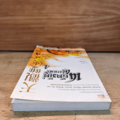 พยัคฆ์คู่ผงาดฟ้า เล่ม 4 - น.นพรัตน์ รูปที่ 4