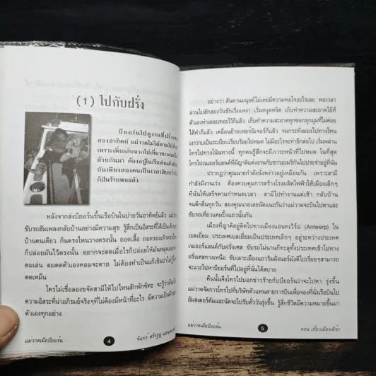 แม่วาดเมียบียอร์น ตอนเที่ยวเมืองเติร์ก - จันทร์ ศรีจรูญ แอนเดอร์สัน รูปที่ 7
