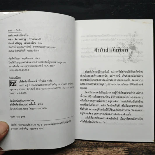 แม่วาดเมียบียอร์น ตอน Amazing Thailand - จันทร์ ศรีจรูญ แอนเดอร์สัน รูปที่ 6