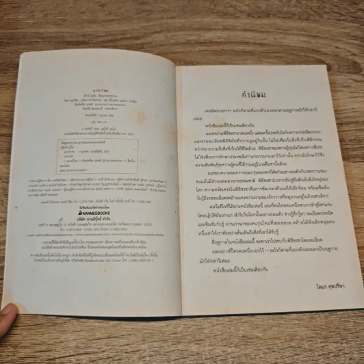 มากกว่าชา - ภูพิงค์ มะโน รูปที่ 6