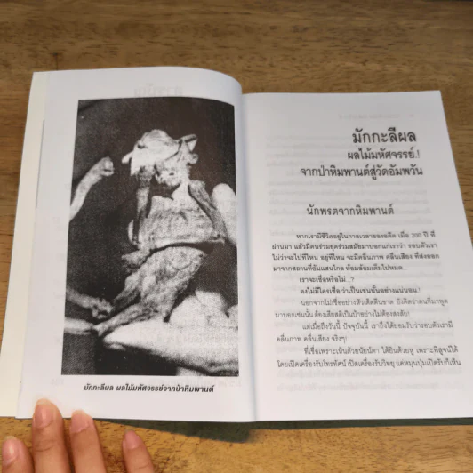 รวมเรื่องอัศจรรย์ - นที ลานโพธิ์ รูปที่ 8