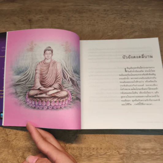 ข้ามเวลา...กราบแทบบาทพุทธองค์ - มณฑาทิพย์ คุณวัฒนา รูปที่ 8