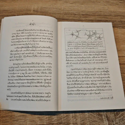 รอให้ถึงอนุบาลก็สายเสียแล้ว - มาซารุ อินุกะ รูปที่ 7