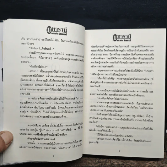 มหารานี 2 เล่มจบ - ลักษณวดี รูปที่ 8