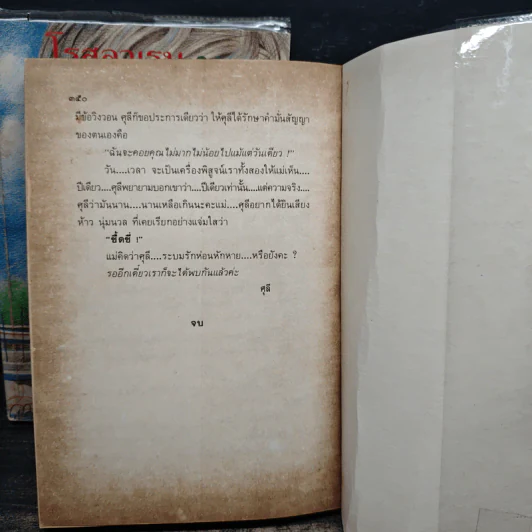 ทางรัก 2 เล่มจบ - โรสลาเรน รูปที่ 8