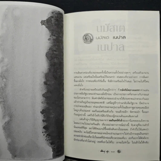 วาดไว้ในเนปาล - พิษณุ ศุภ รูปที่ 7