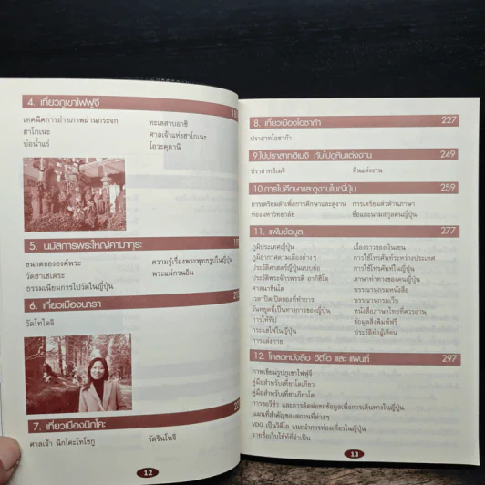 ญี่ปุ่น ไปแล้วไปอีก - วิโรจน์ ถิรคุณ รูปที่ 8