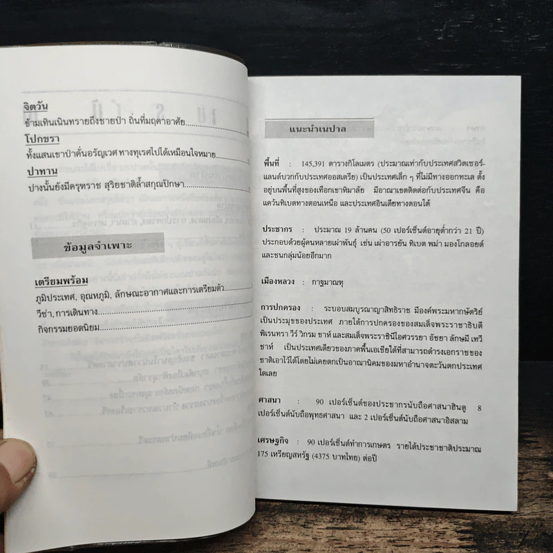 เนปาล - มนันยา รูปที่ 8
