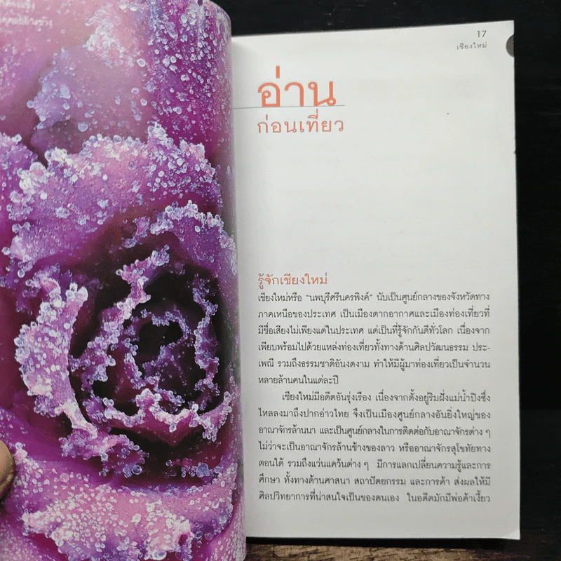 เที่ยวทั่วไทยไปกับนายรอบรู้ เชียงใหม่ รูปที่ 8