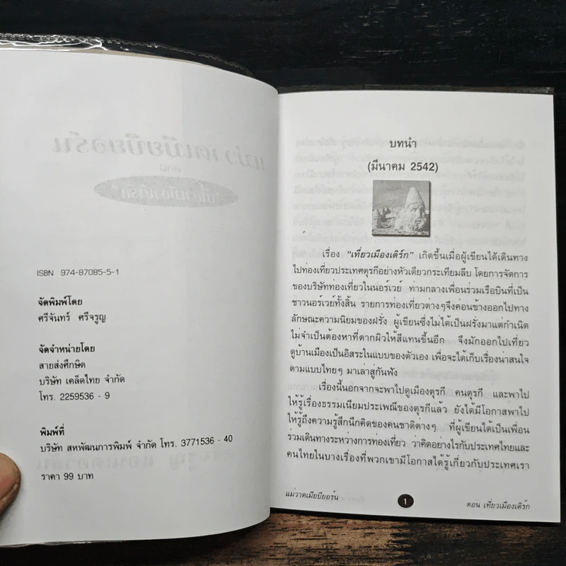 แม่วาดเมียบียอร์น ตอนเที่ยวเมืองเติร์ก - จันทร์ ศรีจรูญ แอนเดอร์สัน รูปที่ 6