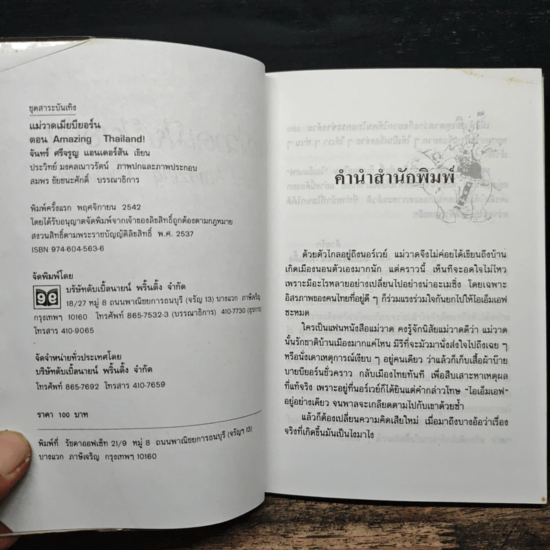 แม่วาดเมียบียอร์น ตอน Amazing Thailand - จันทร์ ศรีจรูญ แอนเดอร์สัน รูปที่ 6