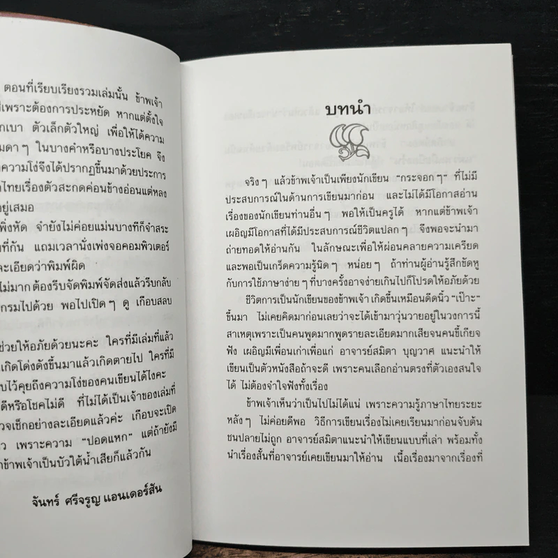 แม่วาดเมียบียอร์น ตอนบุพเพสันนิวาส - จันทร์ ศรีจรูญ แอนเดอร์สัน รูปที่ 7