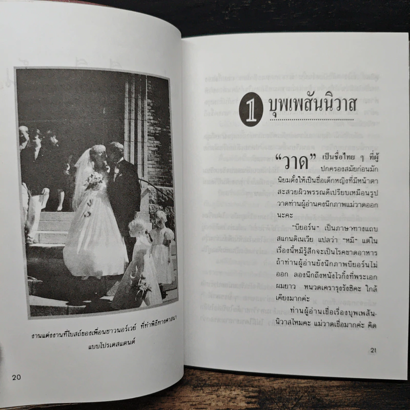 แม่วาดเมียบียอร์น ตอนบุพเพสันนิวาส - จันทร์ ศรีจรูญ แอนเดอร์สัน รูปที่ 9