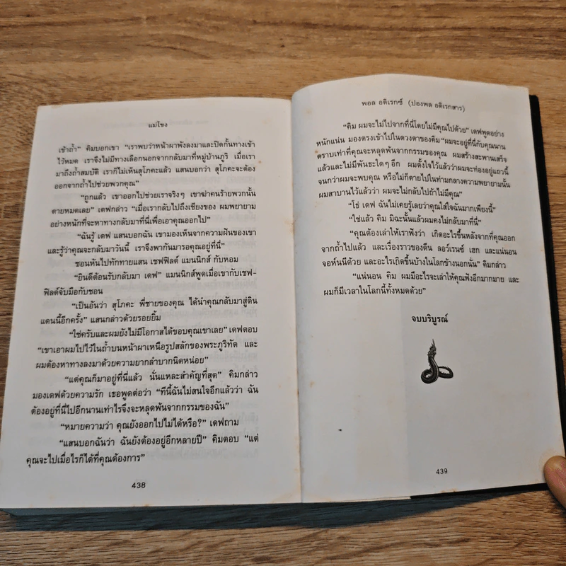 แม่โขง - ปองพล อดิเรกสาร รูปที่ 8