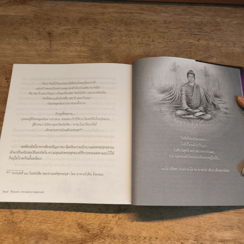 ข้ามเวลา...กราบแทบบาทพุทธองค์ - มณฑาทิพย์ คุณวัฒนา รูปที่ 9