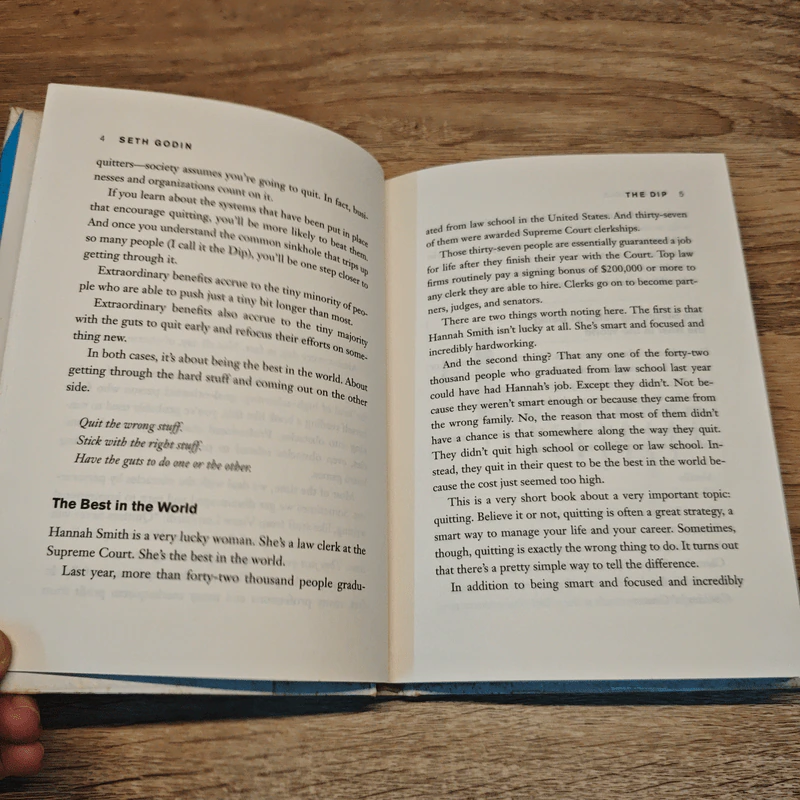 The Dip : A Little Book That Teaches You When to Quit (and When to Stick) - Godin, Seth รูปที่ 6