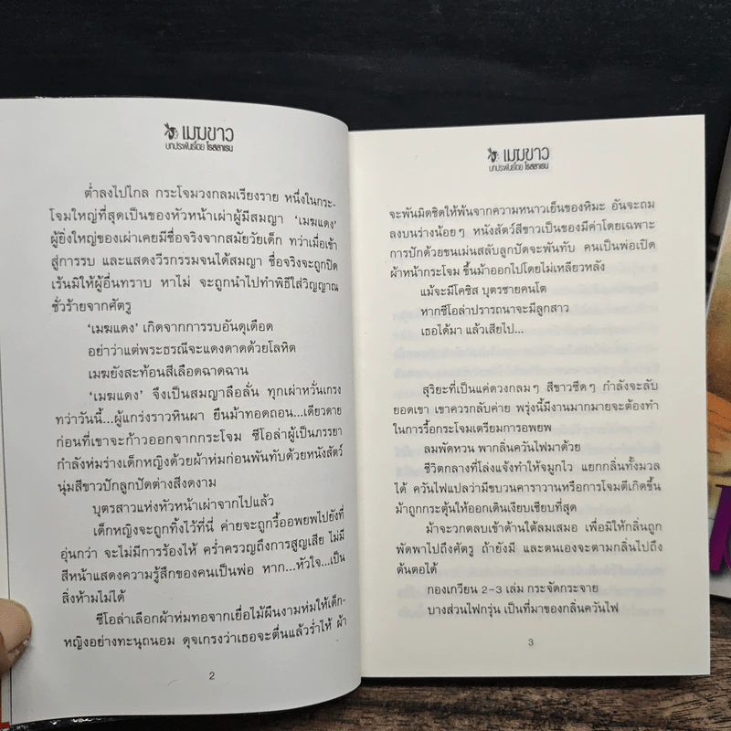 เมฆขาว 2 เล่มจบ - โรสลาเรน รูปที่ 8