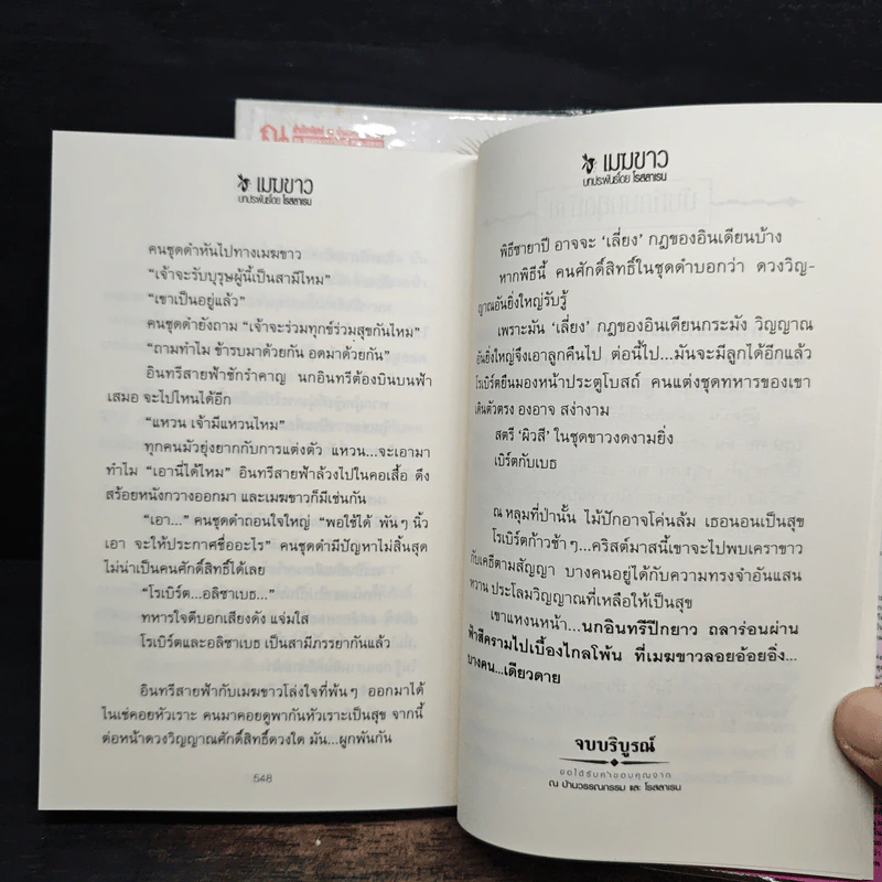 เมฆขาว 2 เล่มจบ - โรสลาเรน รูปที่ 9
