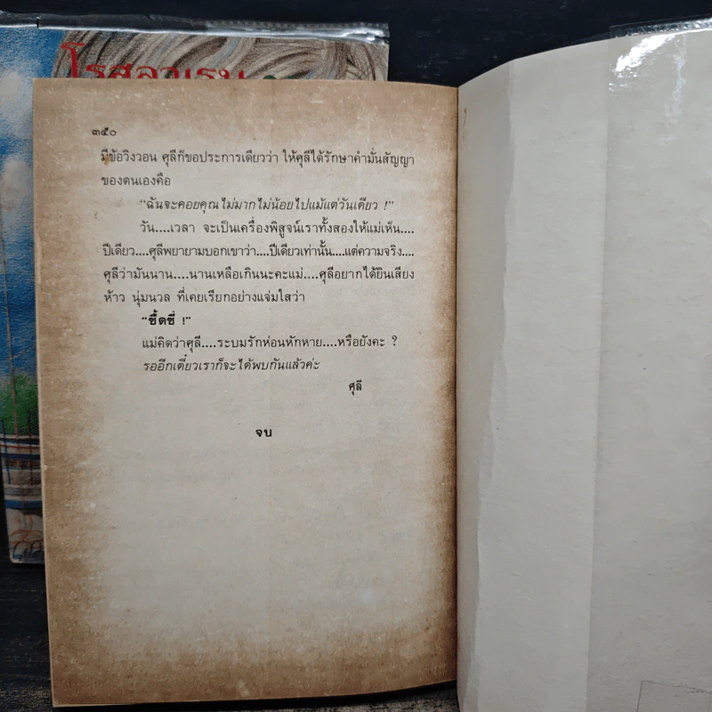 ทางรัก 2 เล่มจบ - โรสลาเรน รูปที่ 8