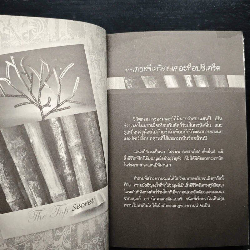 The Top Secret เดอะท็อปซีเคร็ต - ทันตแพทย์สม สุจีรา รูปที่ 7