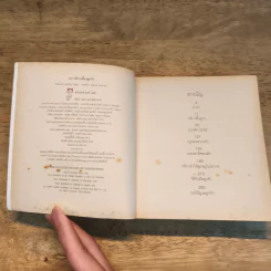 103 กติกาเลี้ยงลูกรัก - Dorothy รูปที่ 7