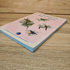 นกในป่าสะแกราช Birds of Sakaerat - สถาบันวิจัยวิทยาศาสตร์และเทคโนโลยีแห่งประเทศไทย รูปที่ 3