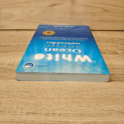 White Ocean Strategy กลยุทธ์น่านน้ำสีขาว - ดนัย จันทร์เจ้าฉาย รูปที่ 4